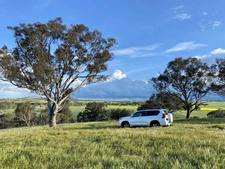 Stunning Acreage with Building Entitlement Near Wagga Wagga