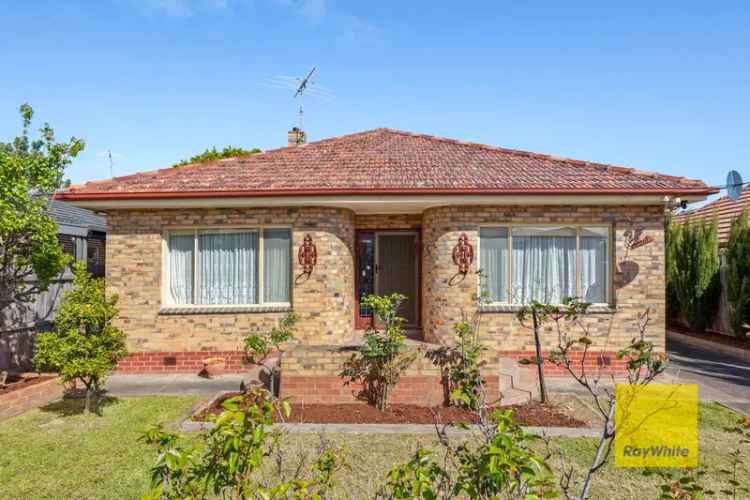 Stunning Family Home In Belmont School Catchment