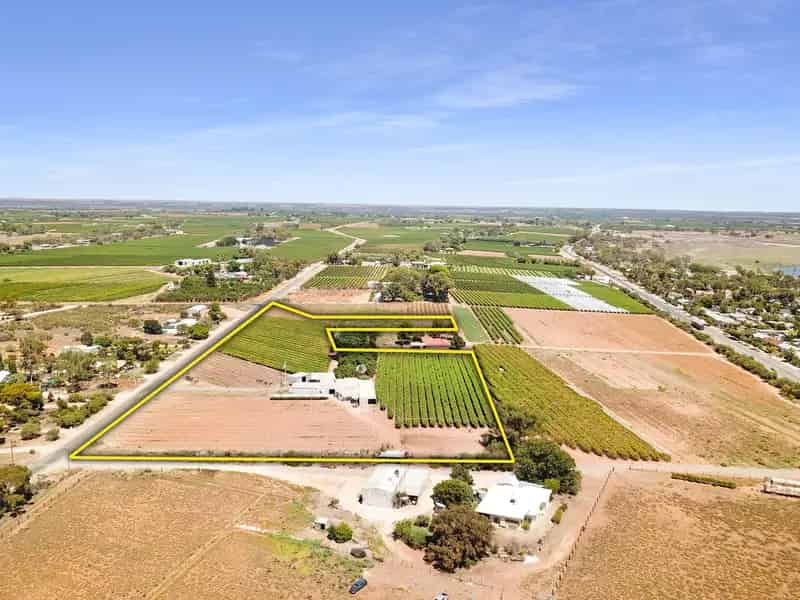 Table Grape Packing & Processing Facility