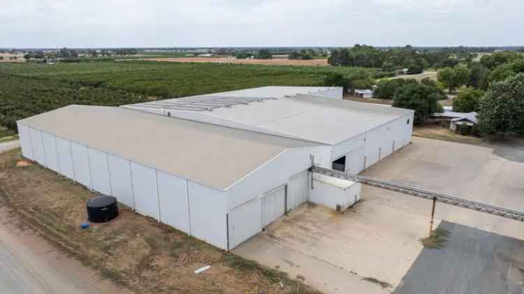 11.54 Acre Storage and Logistics Center with Cool Rooms