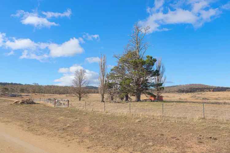 Land For Sale in Snowy Monaro Regional Council, New South Wales