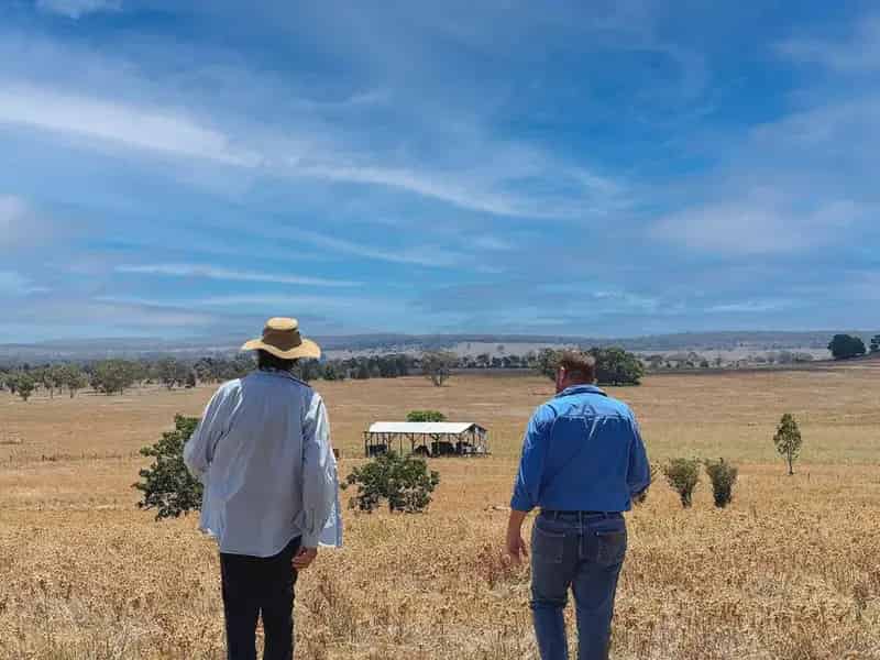 Rural property For Sale , Parkes, New South Wales