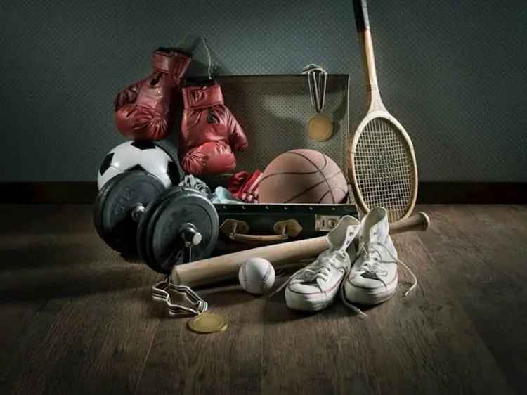 Sports Equipment Import Wholesale , $900K net profit