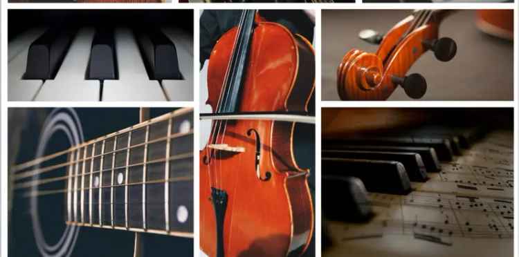 Well Established Music Piano Violin Guitar Business For Sale