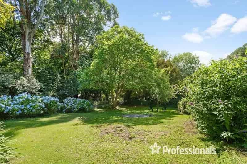Stunning Elevated Block in the Heart of the Dandenong Ranges