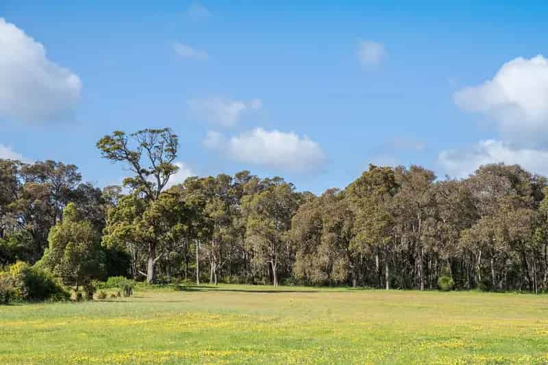 One Hectare Wonderland!