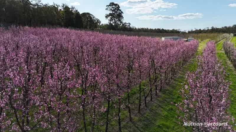 Rural property For Sale , City Of Armadale, Western Australia