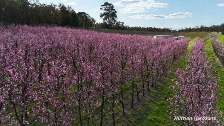 Buy Rural Property in Perth Hills with Two Homes and Fresh Ground Water