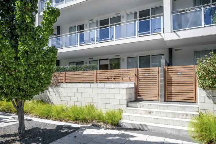 Rent Stylish Ground Floor Apartment in Phillip with Spacious Courtyard