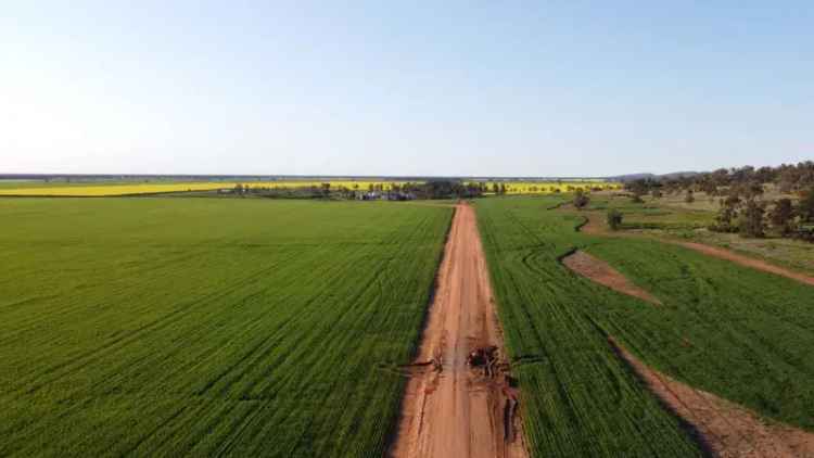 Rural For Sale in Forbes, New South Wales