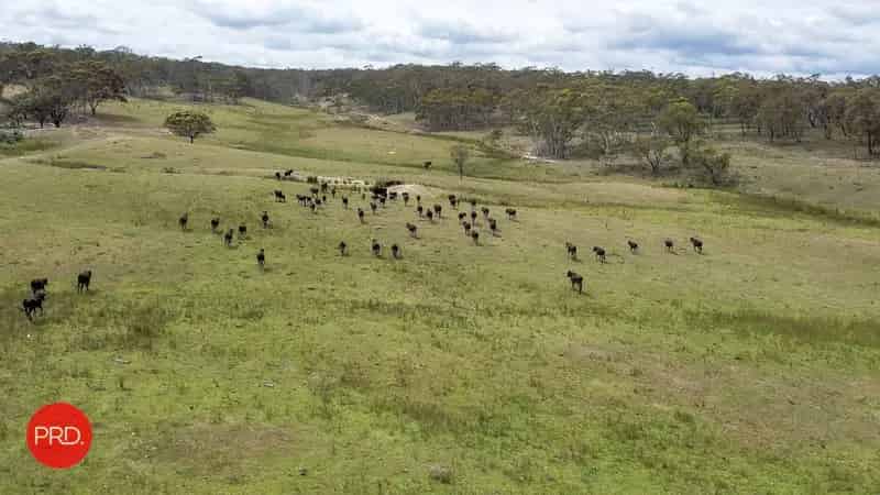 Rural property For Sale , Bungendore, New South Wales