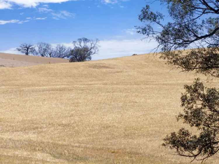 Rural For Rent in Kapunda, South Australia