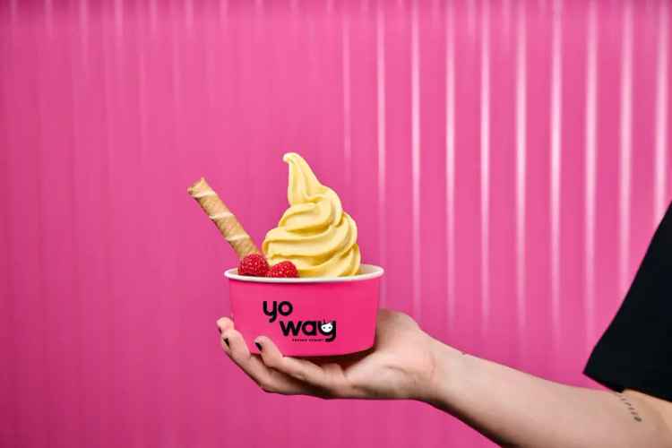 Yo Way Frozen Yoghurt – Franchise Now Available