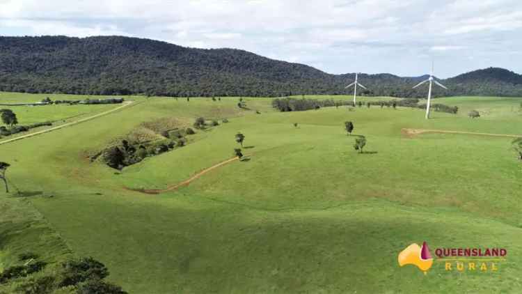 Buy Rural Property in Ravenshoe with Dairy Farm and Homestead Features