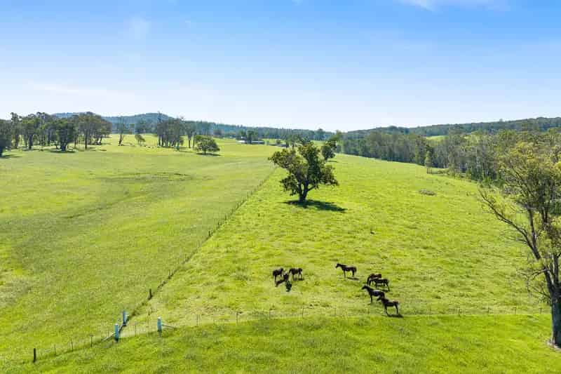 Land For Rent , 9859, Princes Highway, Cobargo, New South Wales