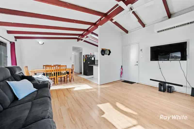 RENOVATOR'S DELIGHT!