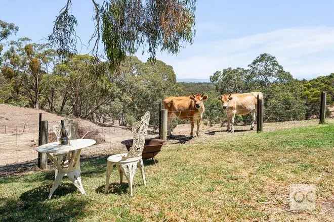 Secluded Tree-Studded Haven near Beaches