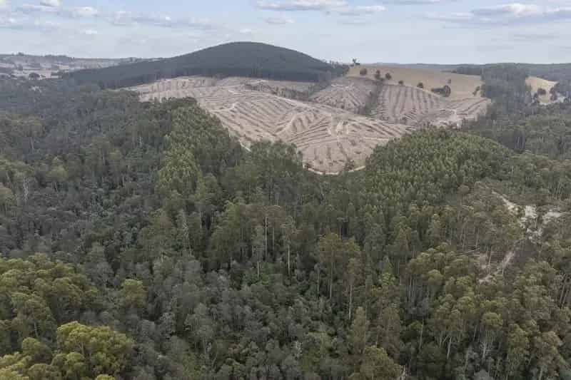 Forestry, Potential Lifestyle Property on 19.63Ha (48.5acres)
