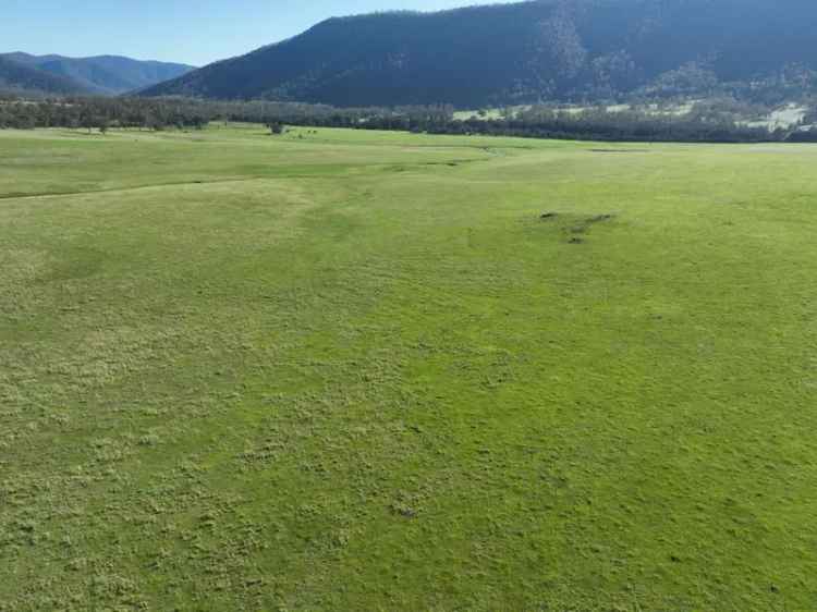 For Sale Commercial Scale Livestock Grazing Property Kintyre New South Wales