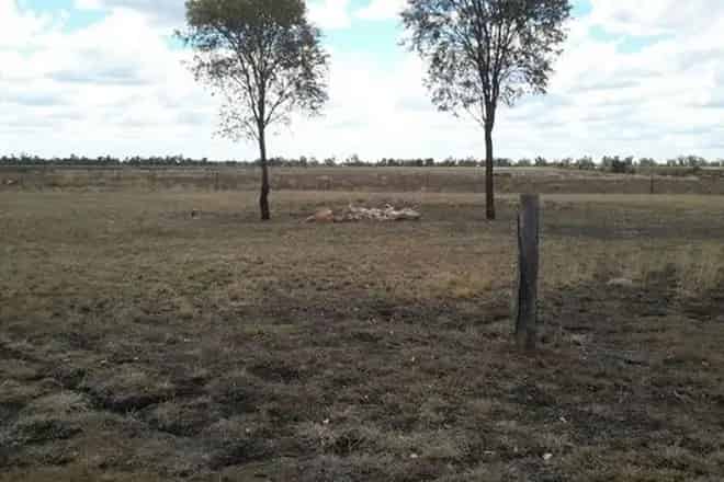Land For Sale , Dalby, Queensland
