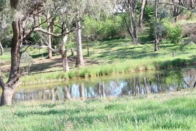 Rural property For Sale , Orange, New South Wales