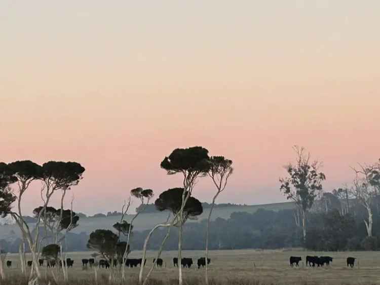 Rural For Sale in Bridport, Tasmania