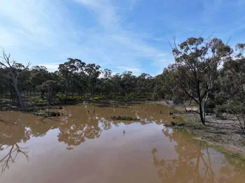 Rural Property for Sale with Large Dam and Eagle Nest