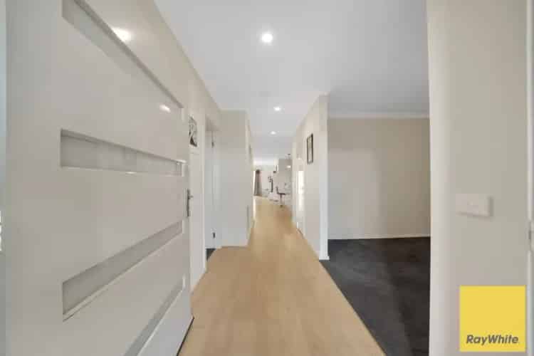 Elegant Family Living Awaits at 17 Pistachia Drive, Tarneit!