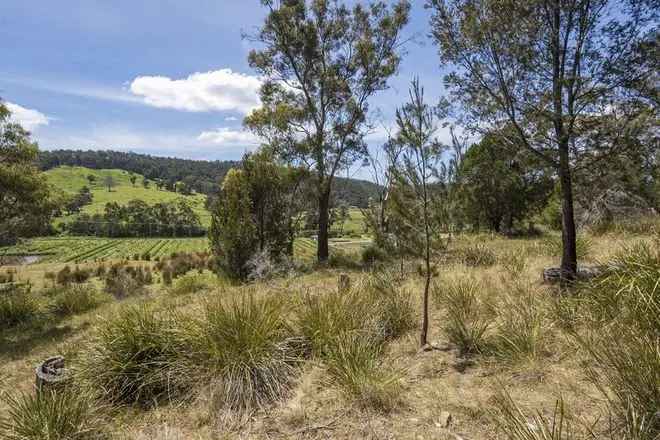 Land For Sale in Cygnet, Tasmania