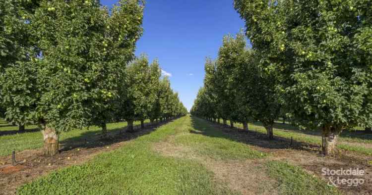 Rural For Sale in Kyabram, Victoria