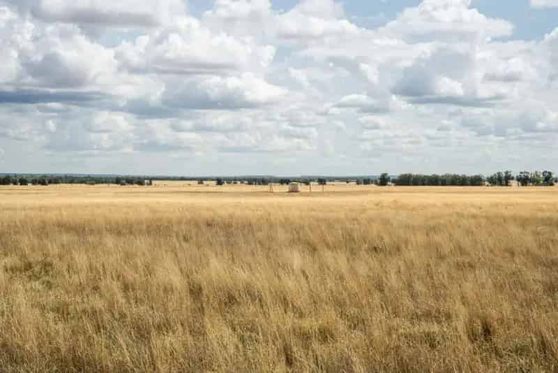 Rural property For Rent , Glen Innes Severn Council, New South Wales