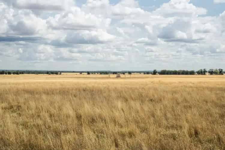 Rural property For Rent , Glen Innes Severn Council, New South Wales