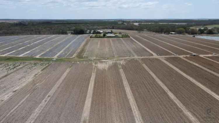 Buy Rural Property Near Bundaberg with Excellent Water Resources and Soil