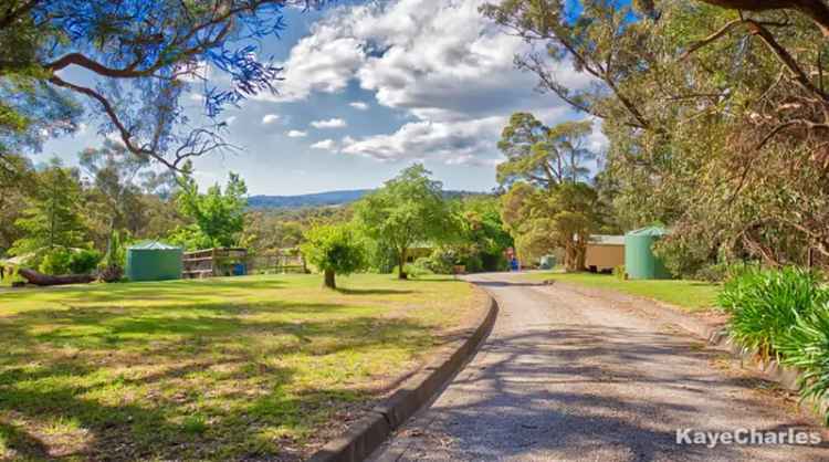 6+ Acre Property with Stunning Views and Ample Shedding