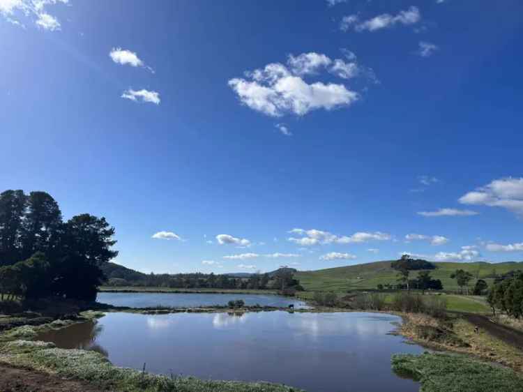 Rural For Sale in Dorset, Tasmania