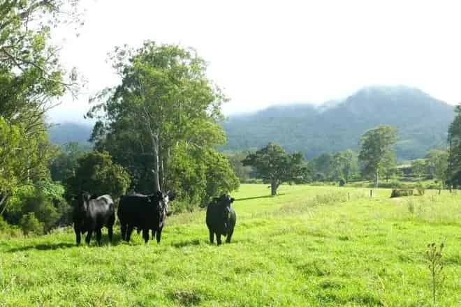 Rural property For Sale , Kyogle Council, New South Wales