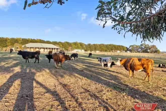 Land For Sale , 1810, Korumburra-Wonthaggi Road, Bass Coast Shire, Victoria