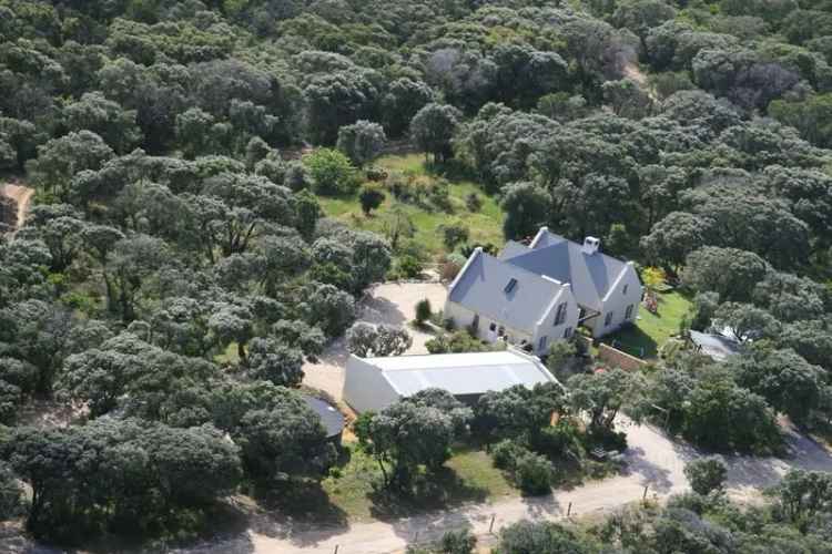 Rent a Cape Dutch style family home with pool and ocean views in Gracetown