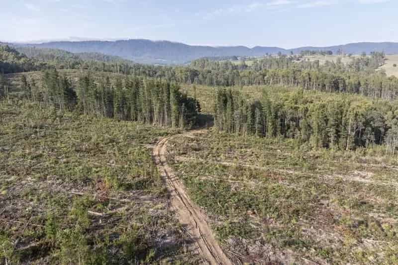 Forestry Block with Potential for Future Development on 40.47Ha (100acres)