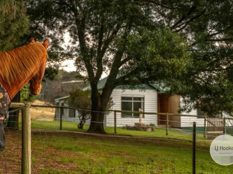 66 Acre Farm Near Cygnet Tasmania Sustainable Living Opportunity