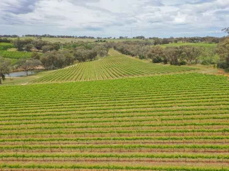 Rural For Sale in Young, New South Wales