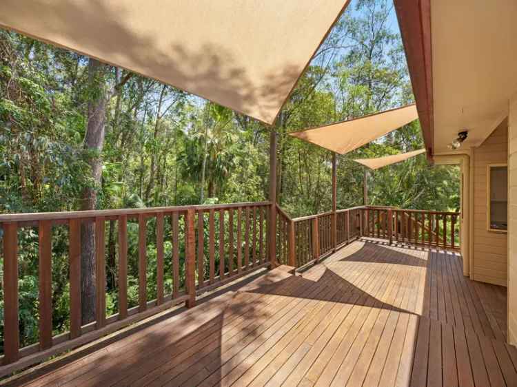 3 Bedroom House For Lease Buderim Rainforest Setting