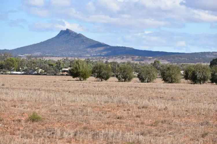 Rural For Sale in Quorn, South Australia