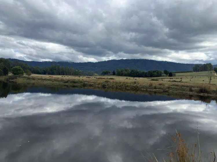 Rural For Sale in Scottsdale, Tasmania