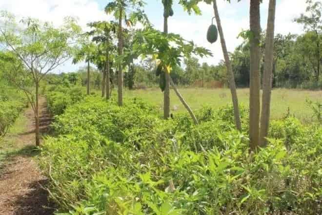 Land For Sale , City of Brisbane, Queensland