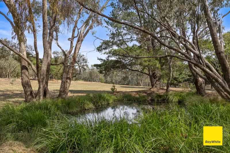Bright Blue Skies and a Brighter Future - 6.5 Acres in Prime Location