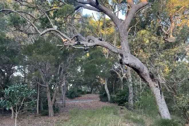 Land For Sale in Agnes Water, Queensland