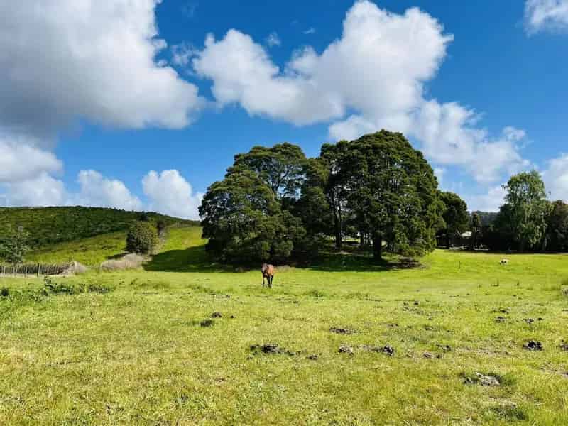 Rural property For Sale , Branxholm, Tasmania