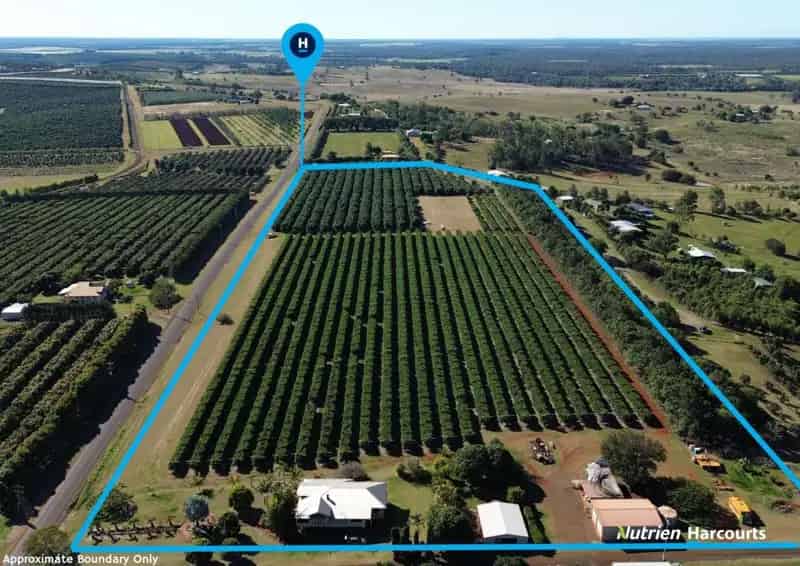 Buy Fertile Red Soil Farm in North Isis with Lychee and Avocado Orchard