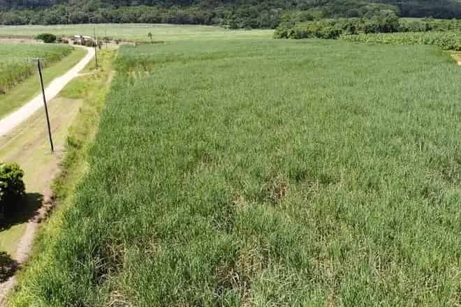 Rural property For Sale , Cassowary Coast Regional, Queensland
